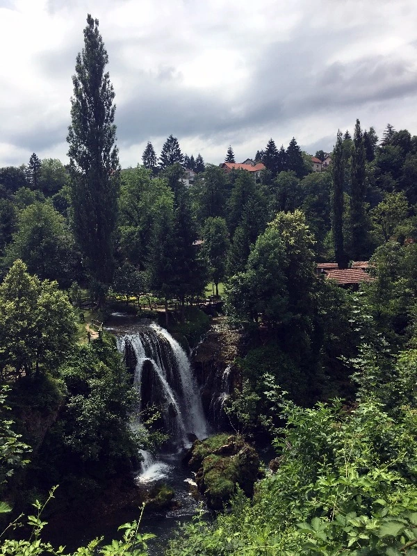 image_8983752971469326454705.jpg?type=w773