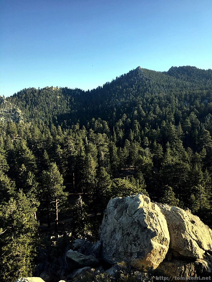 2017-05-05_at_10.23.24.jpg?type=w773