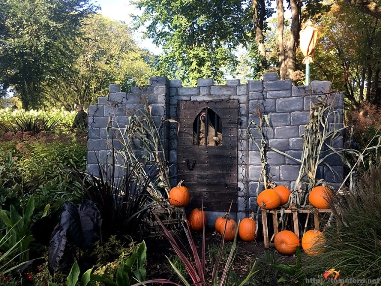 2017-10-03_at_22.22.09.JPG?type=w773