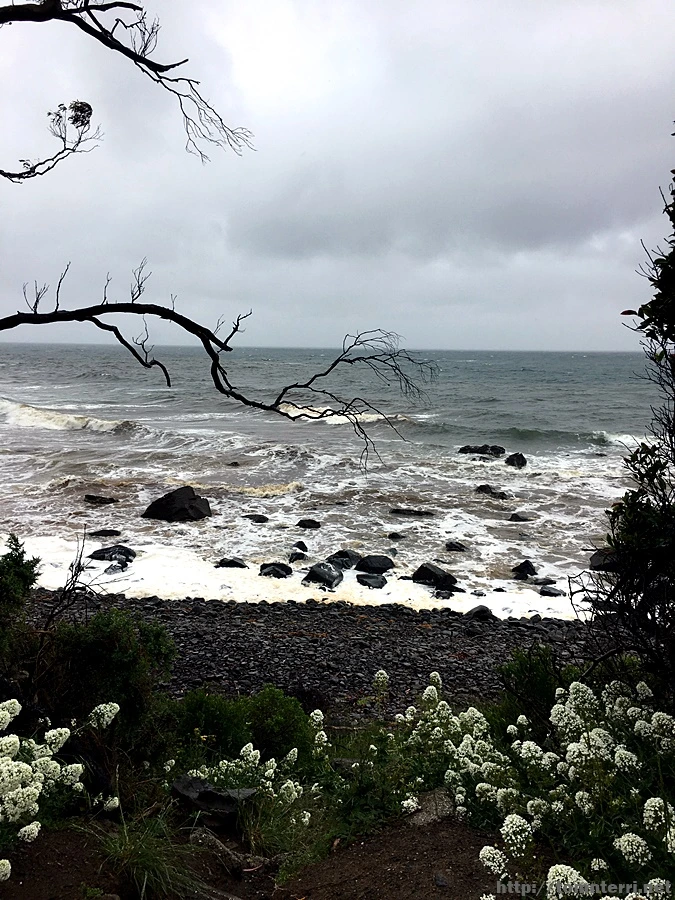 2016-11-23_at_08.26.43.jpg?type=w773