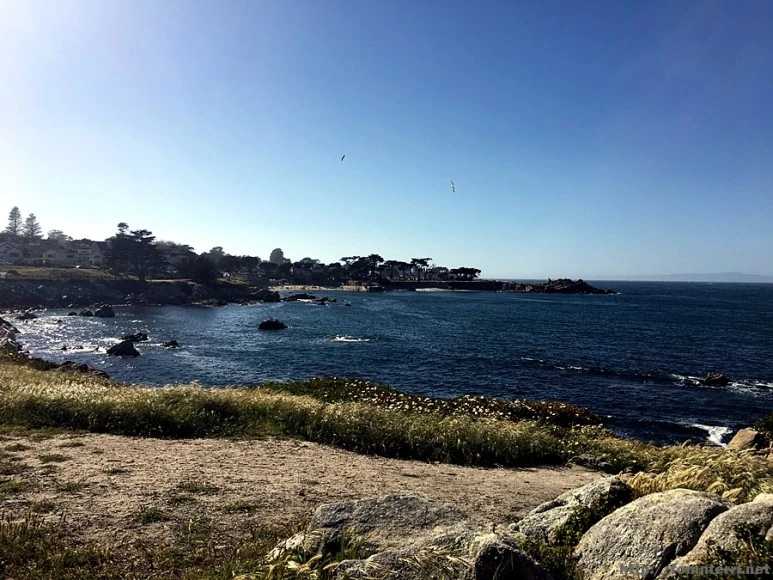 2017-05-02_at_08.56.42.jpg?type=w773