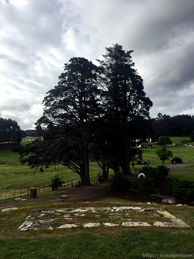 2016-11-23_at_16.02.12.jpg?type=w773