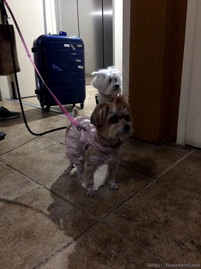 2017-05-07_at_01.57.12.jpg?type=w773