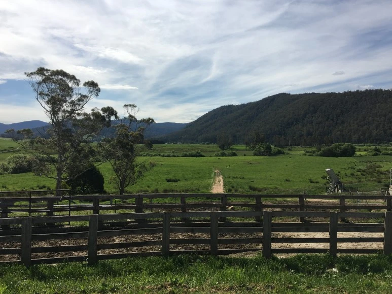 2016-11-21_at_13.43.19.jpg?type=w773