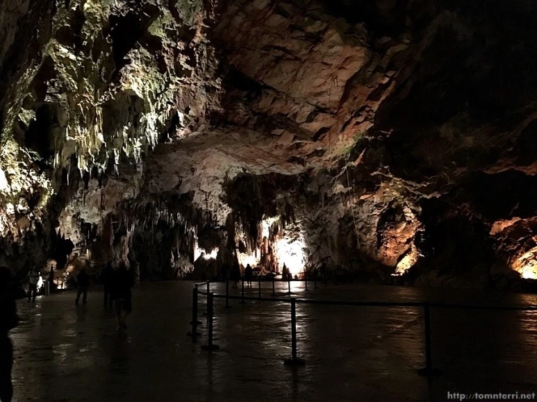 2016-06-24_at_20.05.49.jpg?type=w773