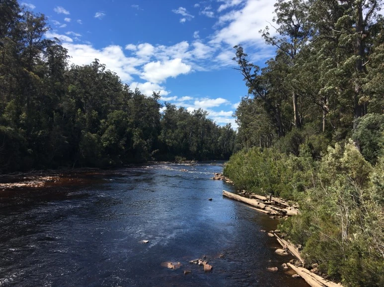 2016-11-24_at_12.53.55.jpg?type=w773