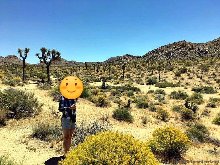 image_7476963861501069572127.jpg?type=w773