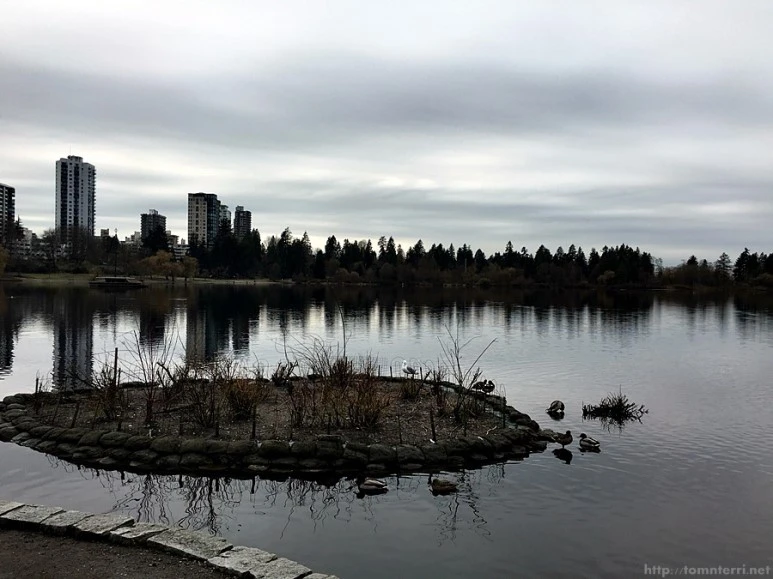 2016-02-08_at_06.17.07.jpg?type=w773