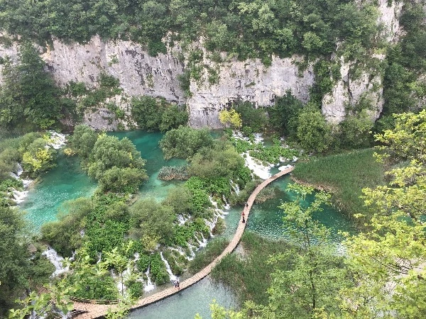 image_6482957791469330111407.jpg?type=w773