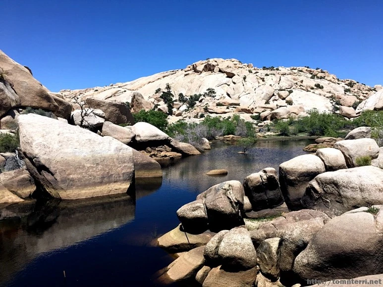 2017-05-05_at_05.55.41.jpg?type=w773