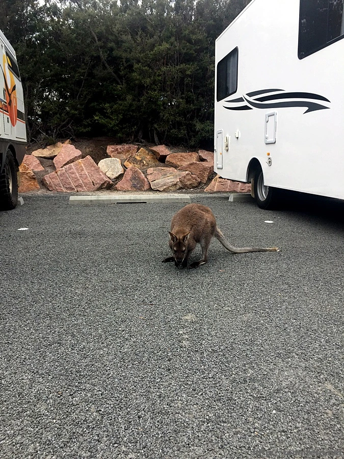 2016-11-22_at_09.48.47.jpg?type=w773