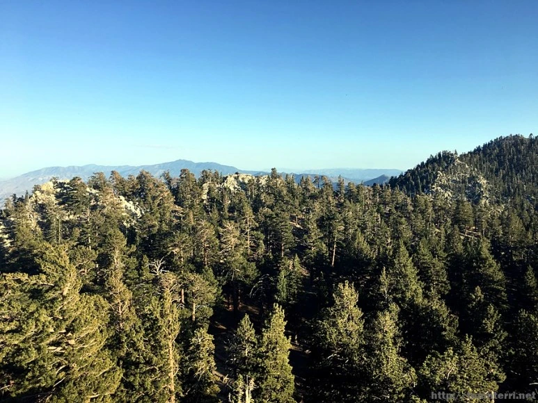 2017-05-05_at_10.23.19.jpg?type=w773