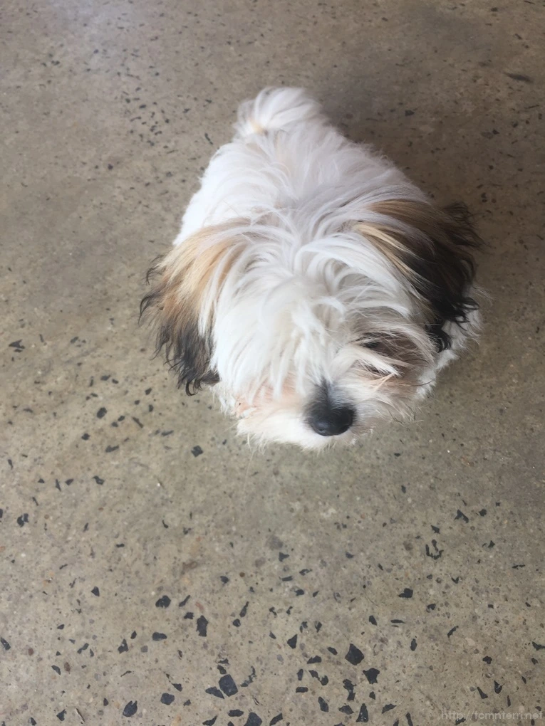 2016-11-20_at_12.09.32.jpg?type=w773