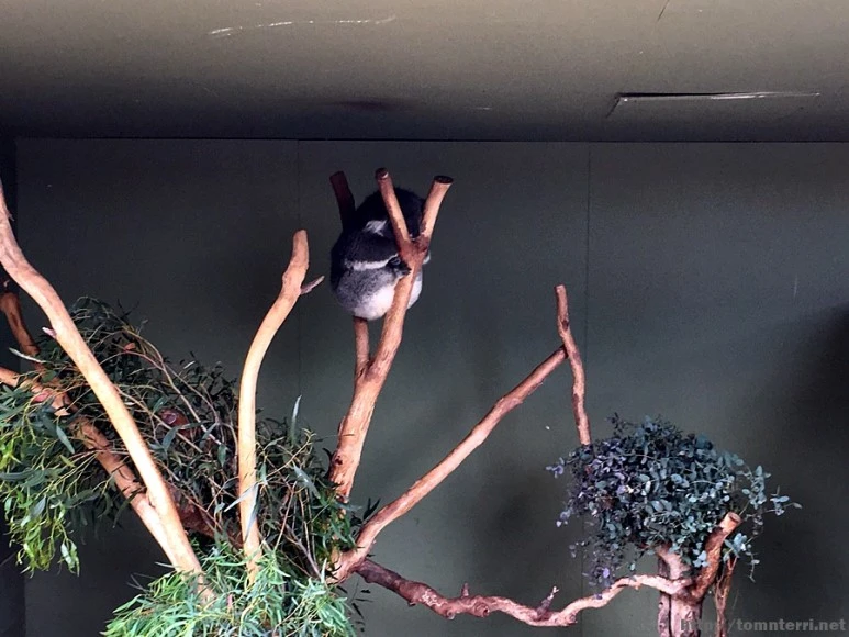 2016-11-25_at_08.26.57.jpg?type=w773