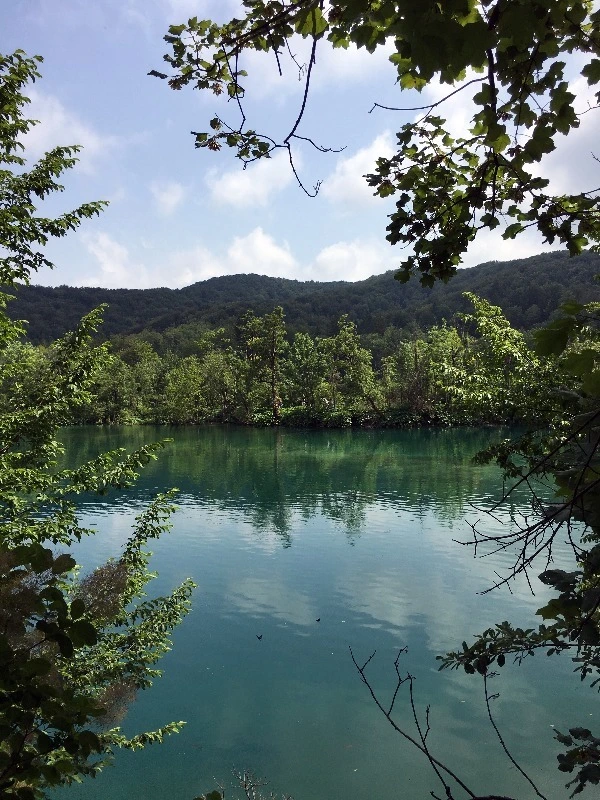 image_9880289781469328724848.jpg?type=w773