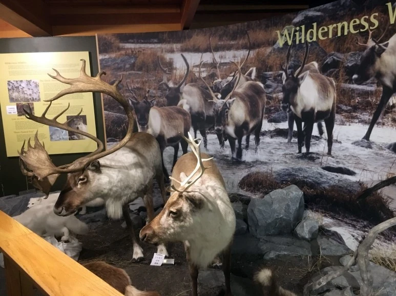 2016-02-06_at_09.01.19.jpg?type=w773