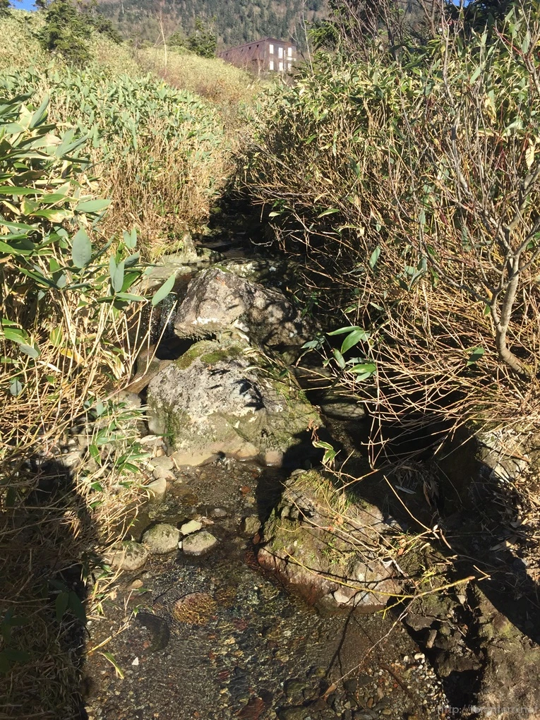 2016-10-15_at_14.58.29.jpg?type=w773