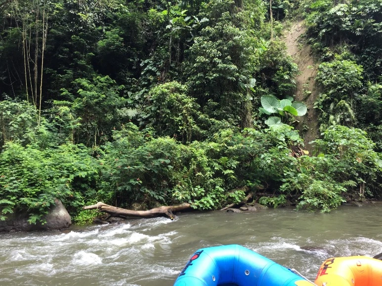 image_2008495291475592350253.jpg?type=w773