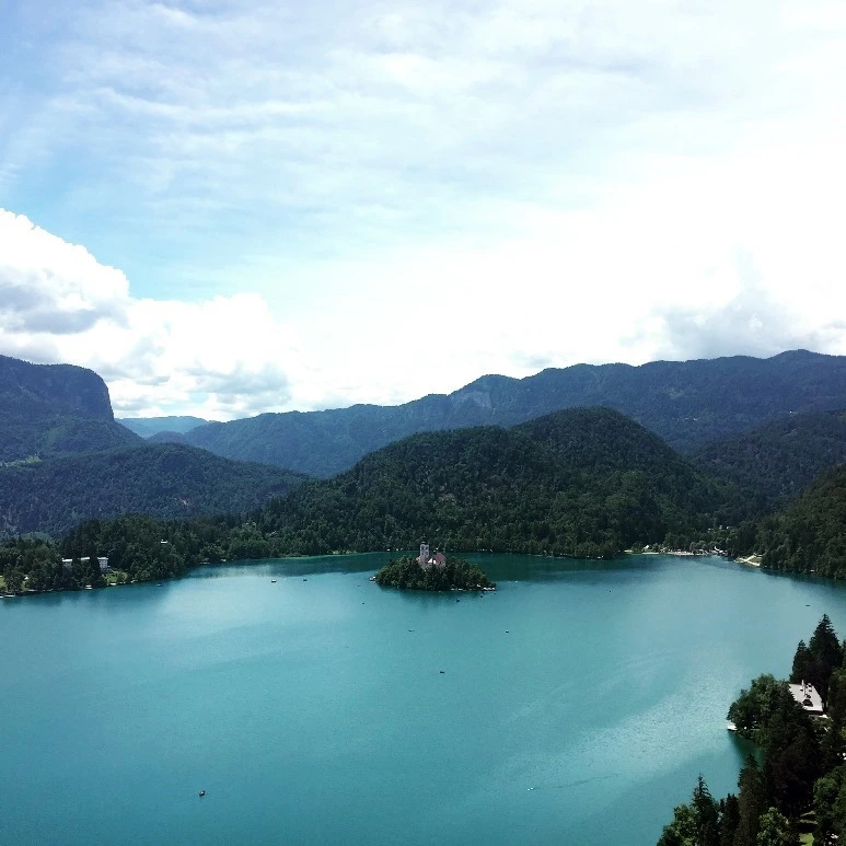 image_7921662021467474204862.jpg?type=w773