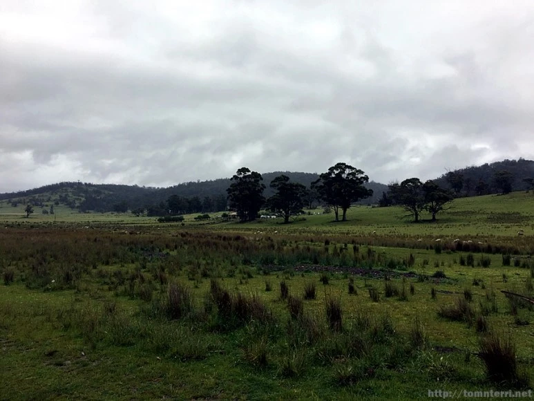 2016-11-23_at_08.55.14.jpg?type=w773