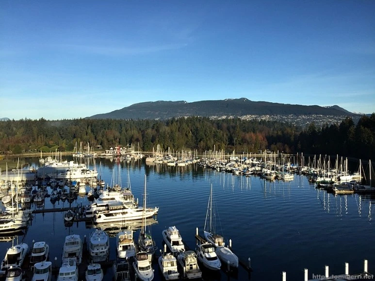 2016-02-10_at_01.48.30.jpg?type=w773