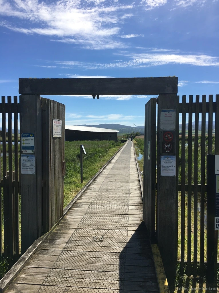 2016-11-20_at_08.59.50.jpg?type=w773