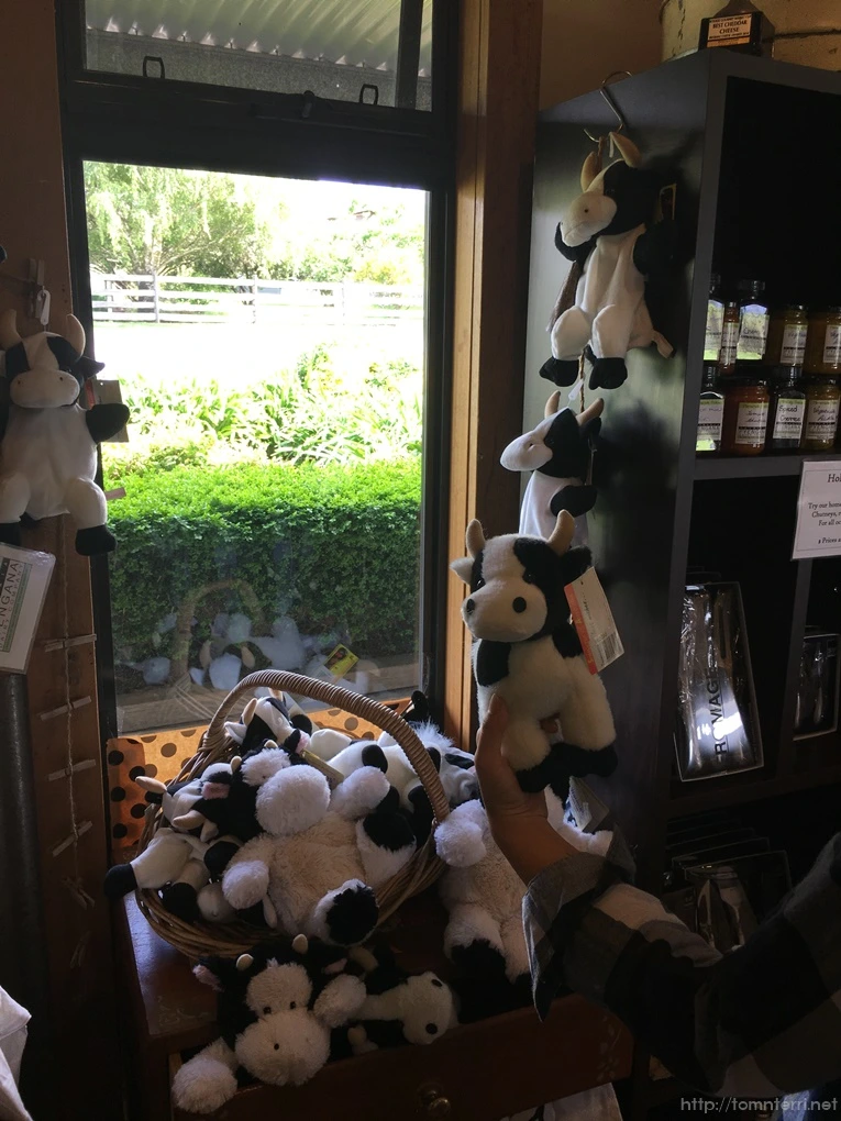 2016-11-21_at_13.24.45.jpg?type=w773