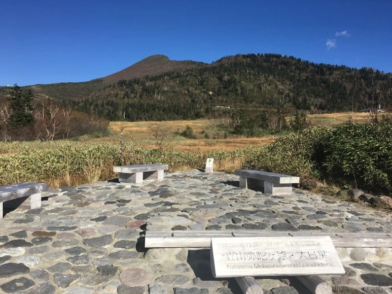 2016-10-15_at_14.48.35.jpg?type=w773