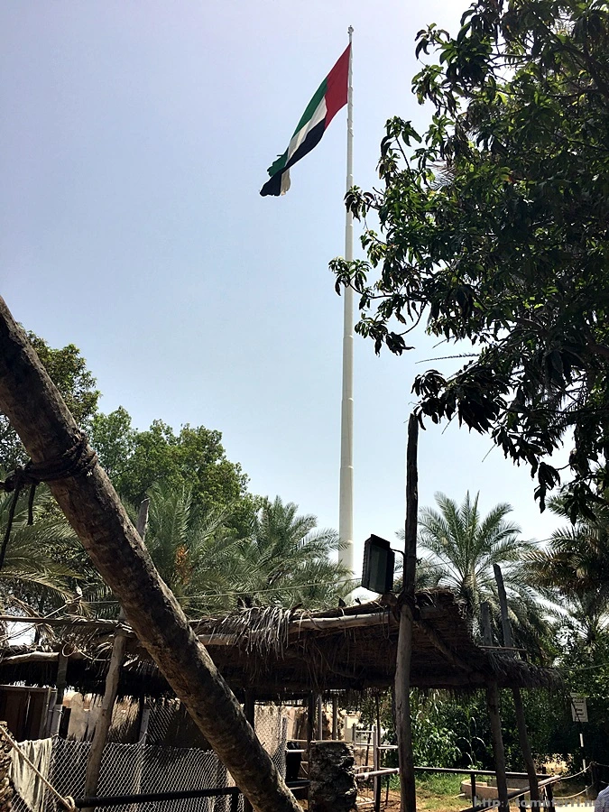 2016-06-25_at_16.10.38.jpg?type=w773