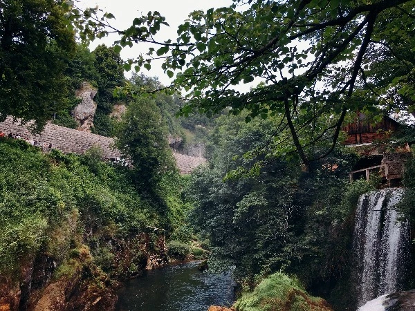 image_6320339441469326596587.jpg?type=w773