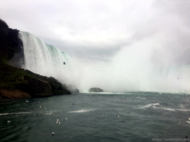 2017-10-12_at_05.51.01.jpg?type=w773