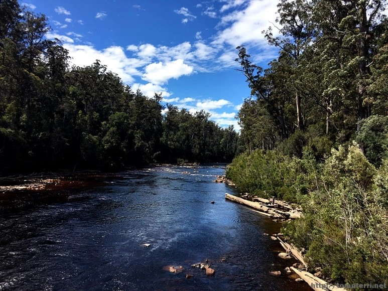 2016-11-24_at_12.53.55.jpg?type=w773