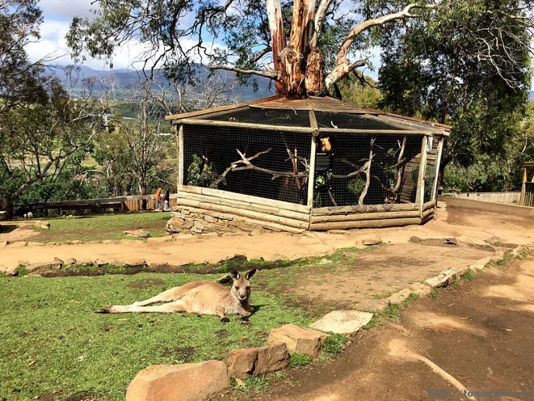 2016-11-25_at_08.29.41.jpg?type=w773