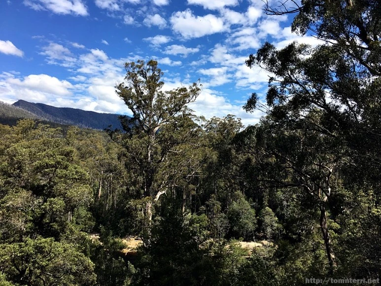 2016-11-24_at_13.11.27.jpg?type=w773