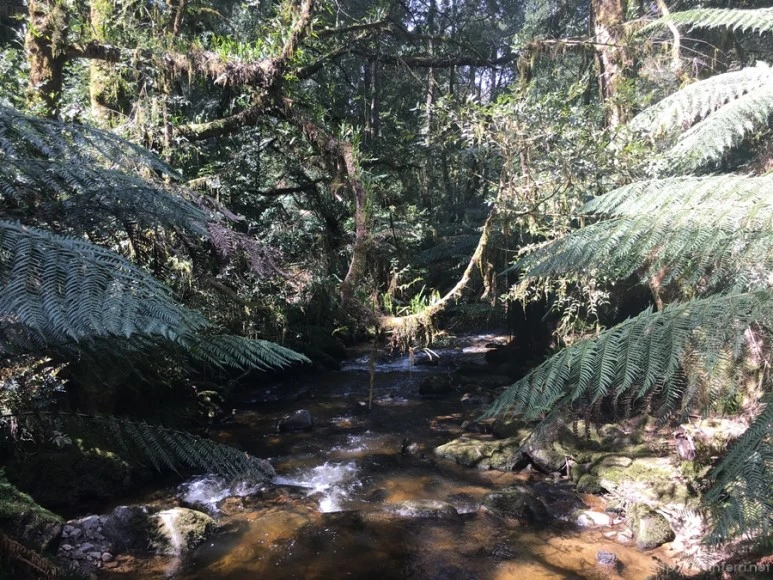 2016-11-21_at_12.47.27.jpg?type=w773