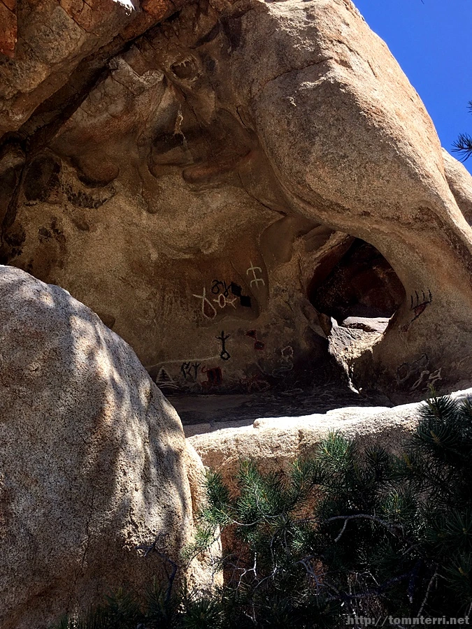 2017-05-05_at_06.16.27.jpg?type=w773