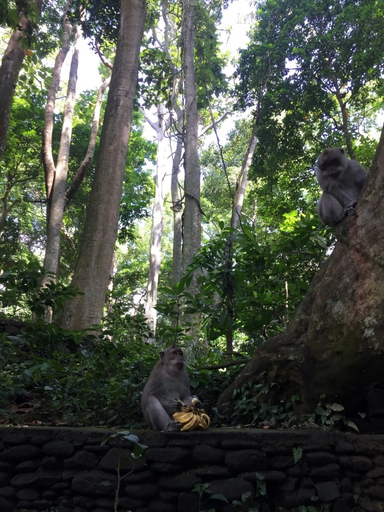 image_3228545731476019059036.jpg?type=w773