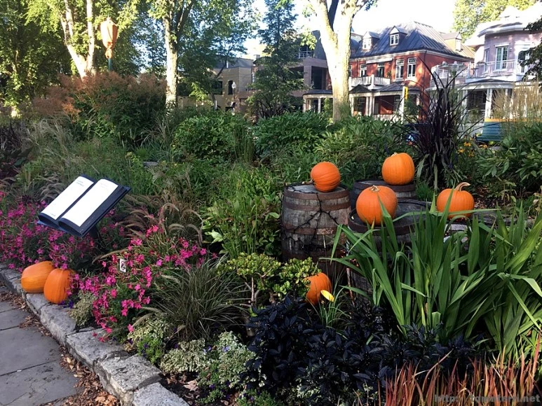 2017-10-03_at_22.19.02.JPG?type=w773