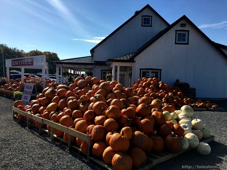 2017-10-04_at_02.56.00.JPG?type=w773