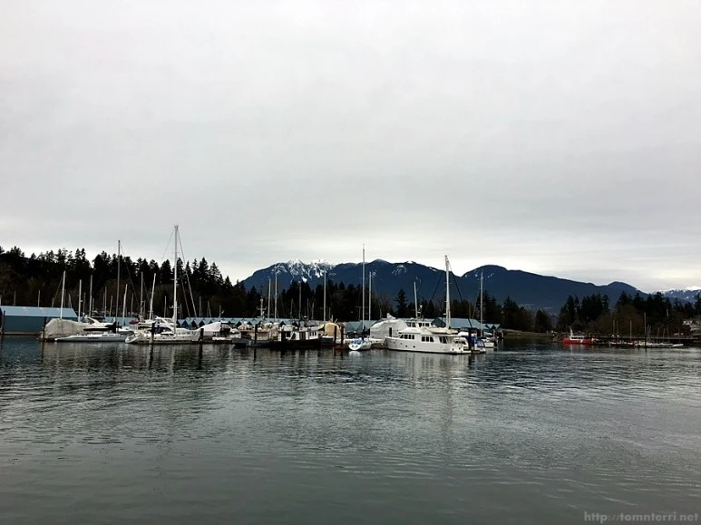 2016-02-08_at_05.44.32.jpg?type=w773