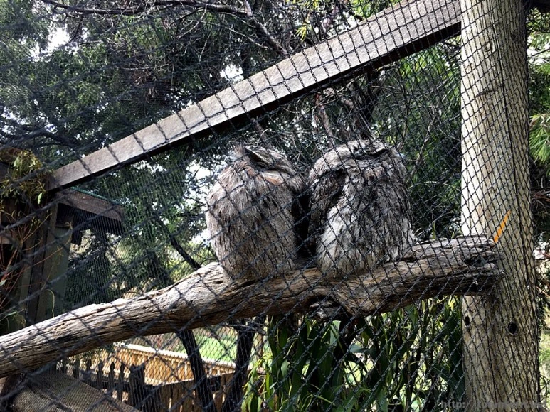 2016-11-25_at_08.25.16.jpg?type=w773