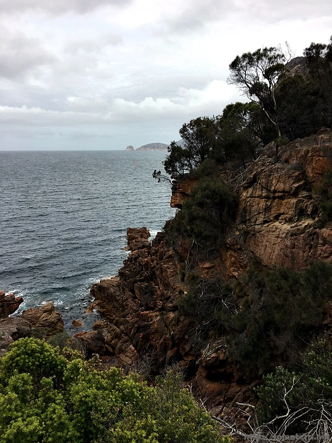 2016-11-22_at_11.48.37.jpg?type=w773