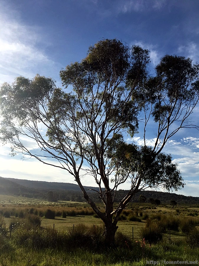 2016-11-21_at_16.22.08.jpg?type=w773