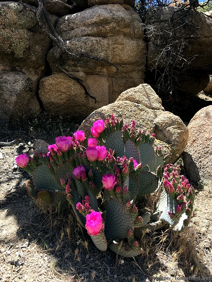 2017-05-05_at_05.48.02.jpg?type=w773