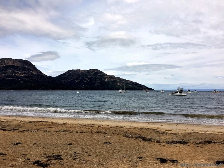 2016-11-22_at_09.31.10.jpg?type=w773