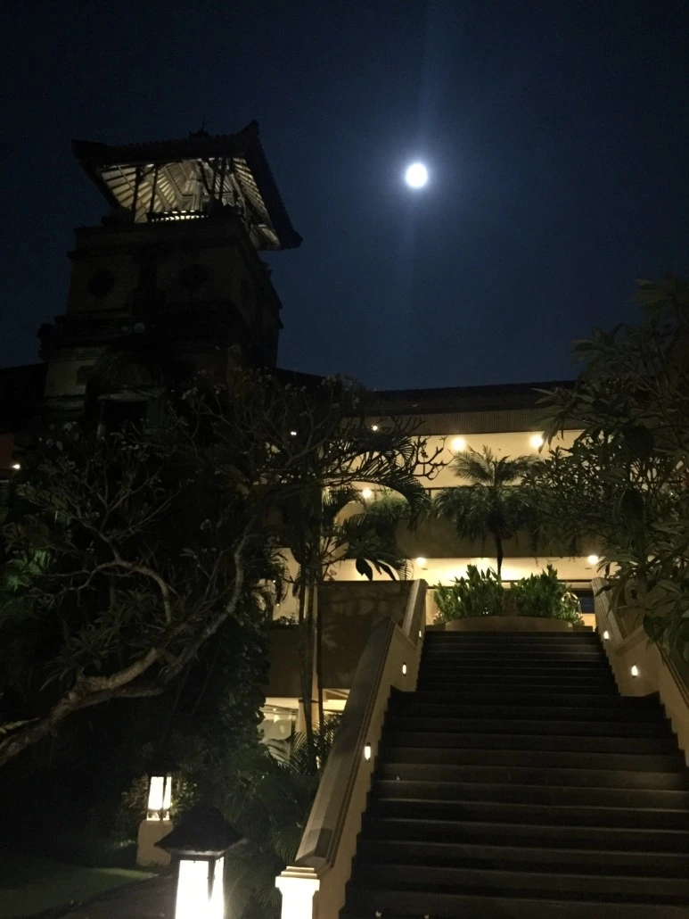 image_6959608351476710315088.jpg?type=w773