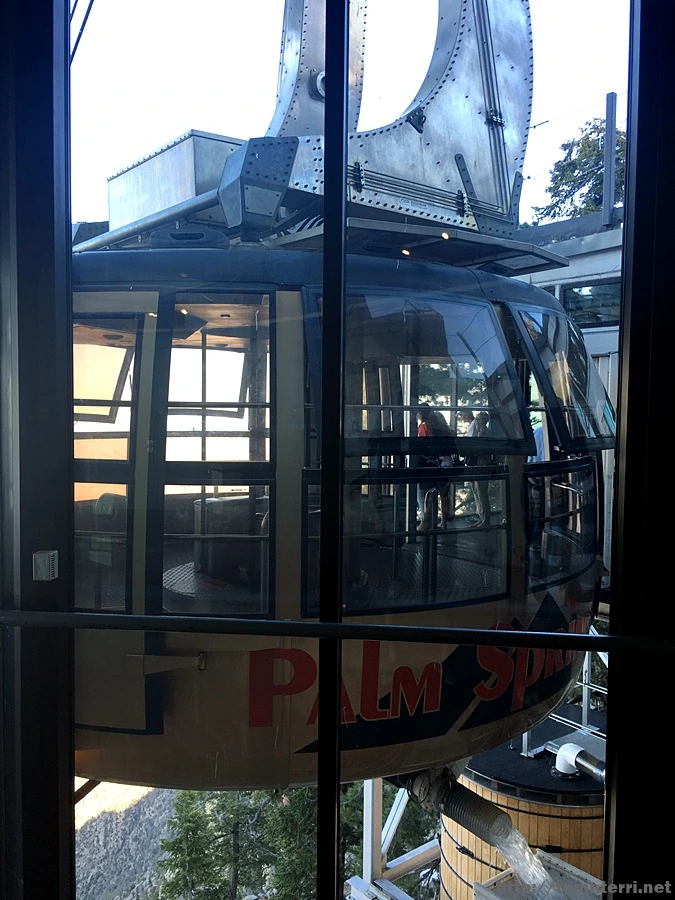 2017-05-05_at_10.11.09.jpg?type=w773