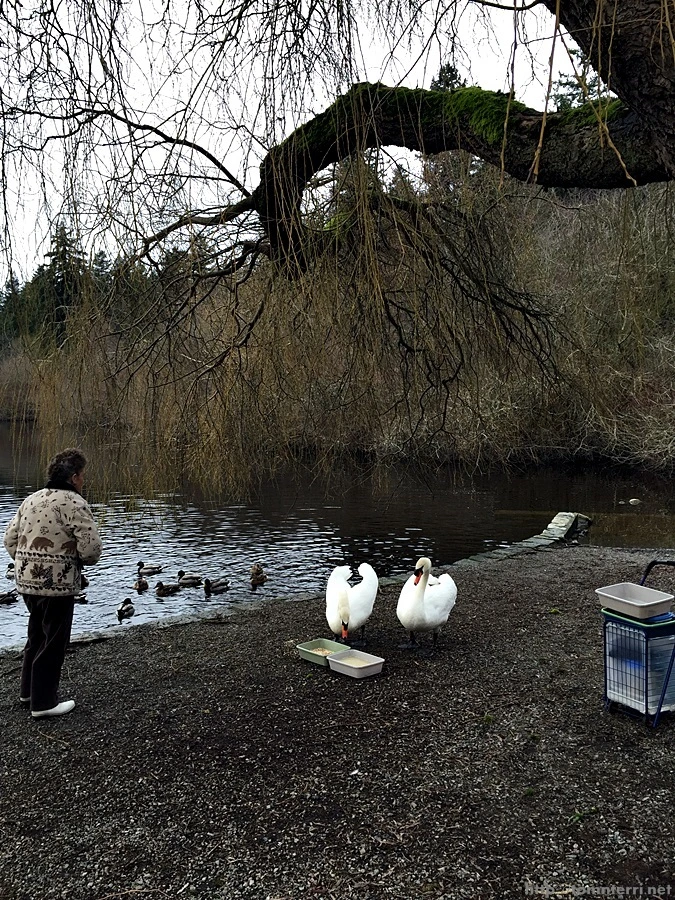 2016-02-08_at_06.18.00.jpg?type=w773