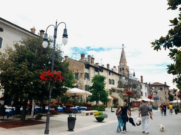 image_443111631467465197802.jpg?type=w773