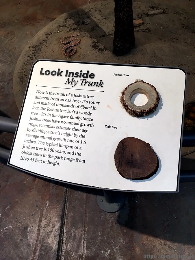 2017-05-05_at_04.27.13.jpg?type=w773